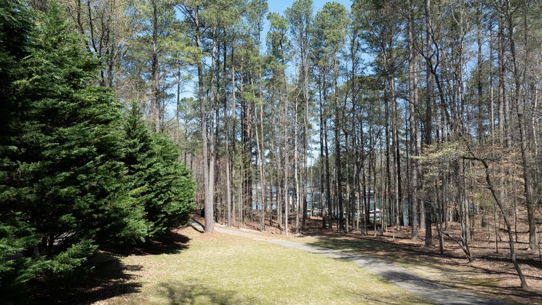 Backyard and Path to Dock 1868 Buford Dam Rd Drone at 1868 buford dam
