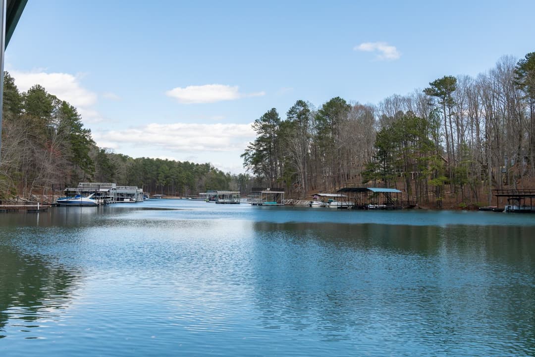 Cove 1868 Buford Dam Rd at 1868 buford dam