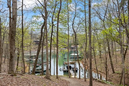 Deep-water cove off the Chestatee arm of Lake Lanier in Gainesville, GA